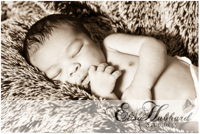 5-day-old Newborn - Elisa Hubbard Photography