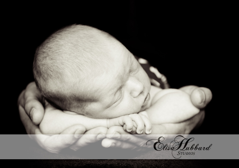Tori, Baby Girl, 2 Weeks, Newborn Photography, Elisa Hubbard Studios