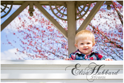 Cameron - 1 year - Child Photography - Elisa Hubbard Studios